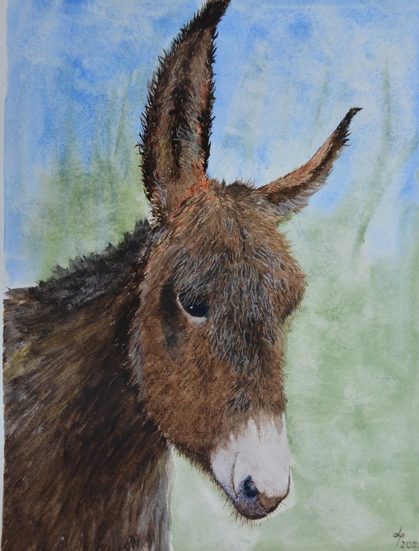 Donkey_watercolour