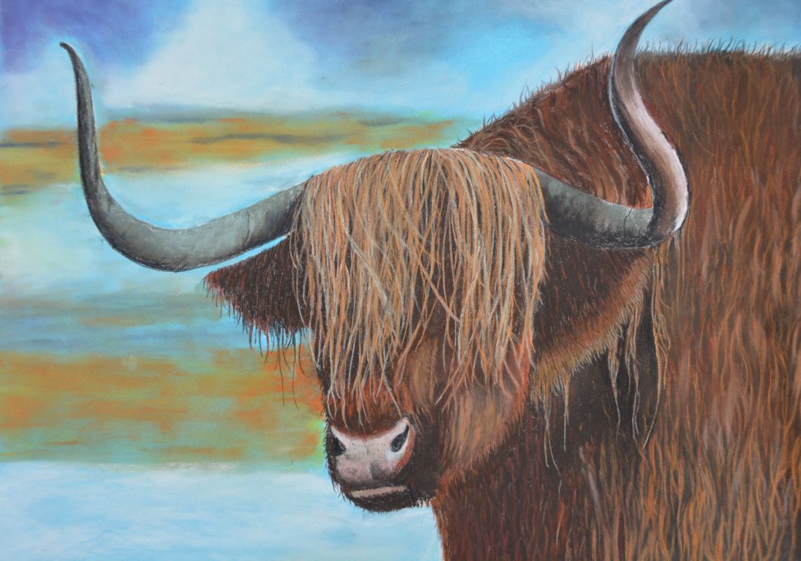 Highland cow_pastel